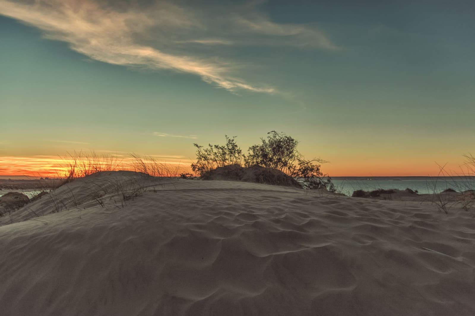 Puerto Madryn escena 3